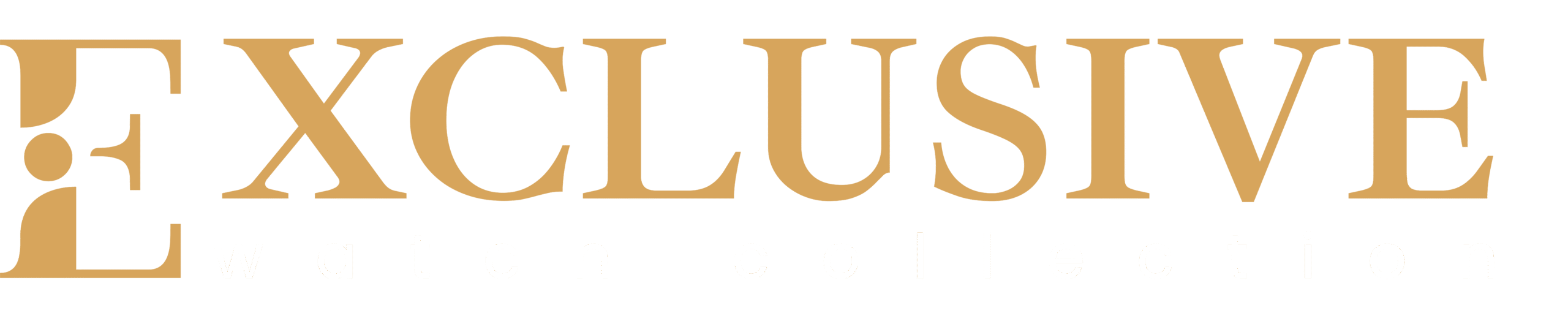 Exclusive Watch Collection 